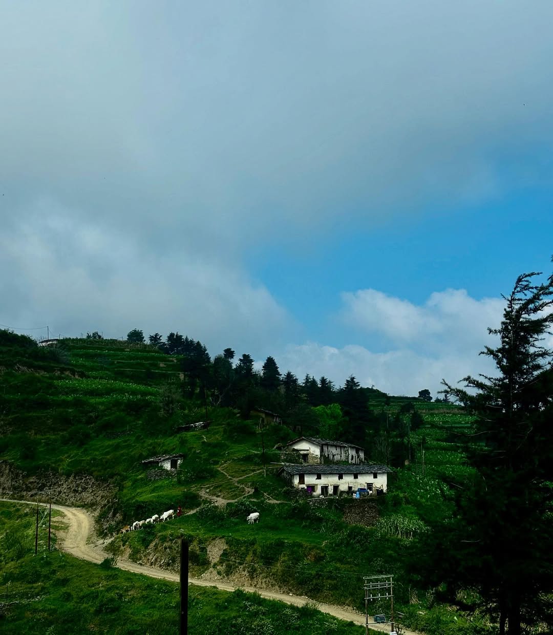 chakrata tour package